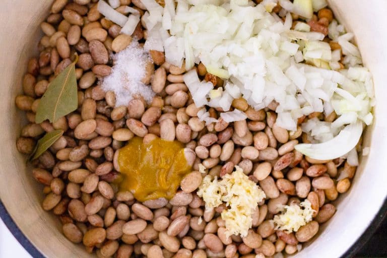 Pinto Beans From Scratch (Instant Pot & Stovetop Method) On Ty's Plate