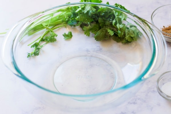 Microwave safe bowl and cilantro