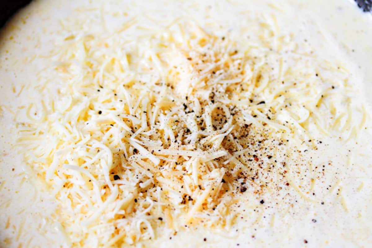 parmesan cheese in cream sauce