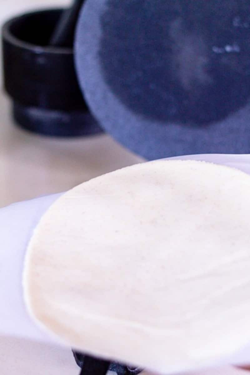 pressed tortilla on a tortilla press