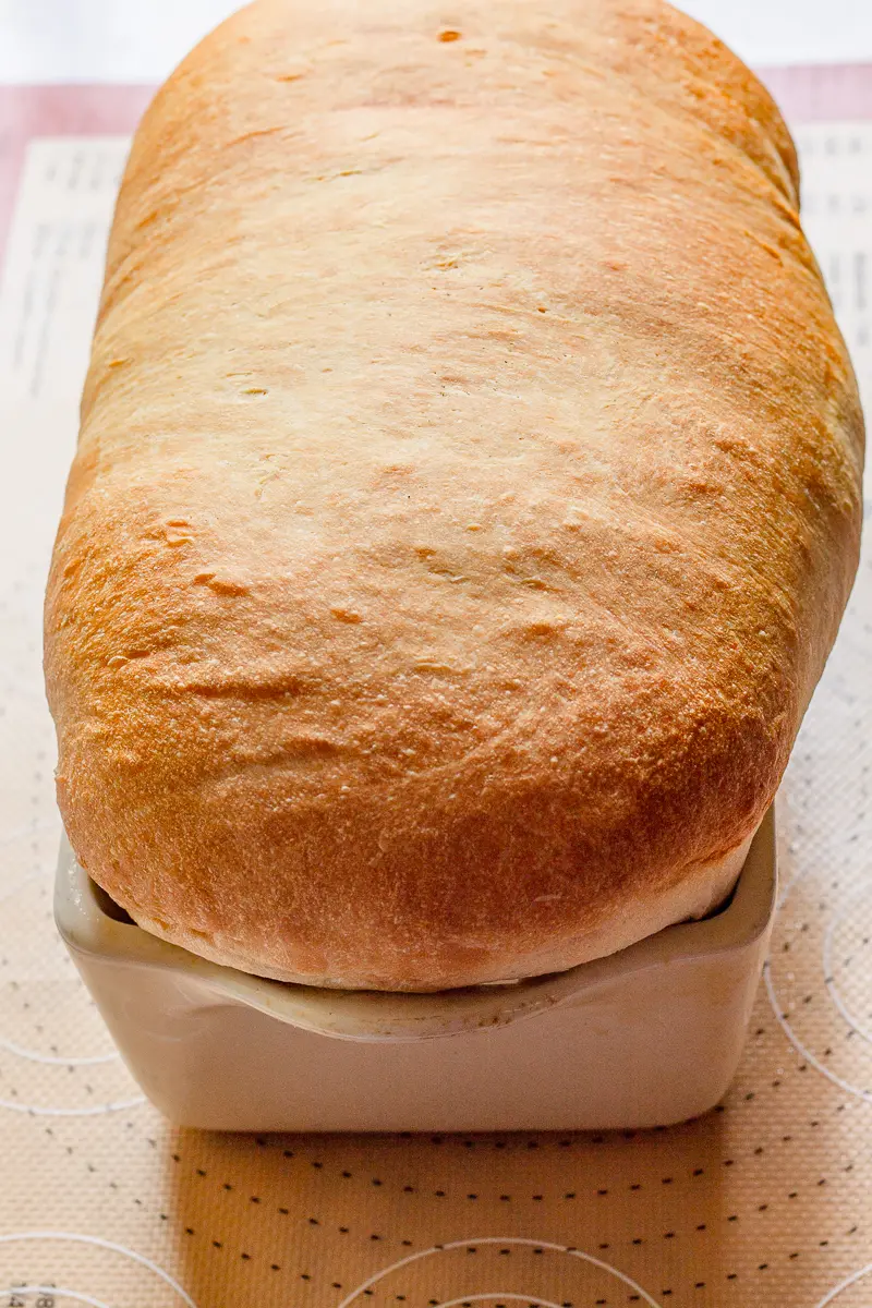 a load of homemade white bread baked