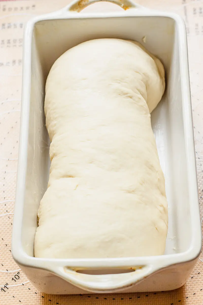 a load of homemade white bread unrisen