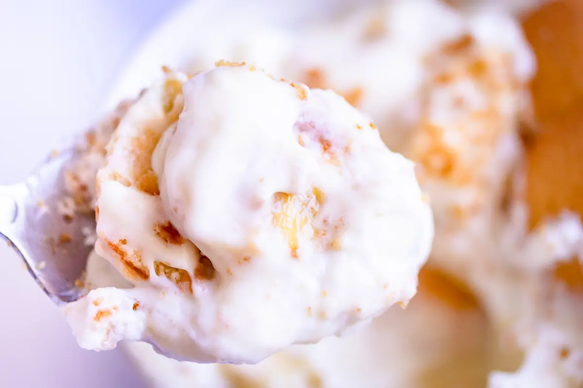 spoonful of homemade banana pudding